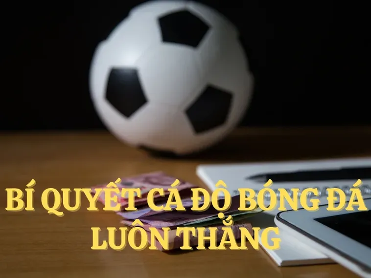 Bí Quyết Thành Công Thắng Lớn Với Cá Cược Bóng Đá 99OK 2 Bí Quyết Thành Công Thắng Lớn Với Cá Cược Bóng Đá 99OK