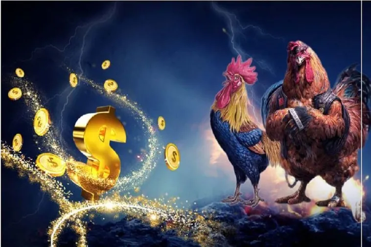 Hướng Dẫn Chơi Đá Gà WS168 Tại 99OK: Bí Kíp Tối Ưu Thắng Lớn
