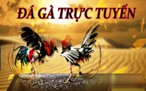 Bí Kíp Thắng Lớn Đá Gà GA28 Tại 99OK: Hướng Dẫn Chuyên Sâu